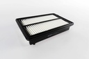 เอซีเดลโก้(ACDelco) ไส้กรองอากาศ 19373002