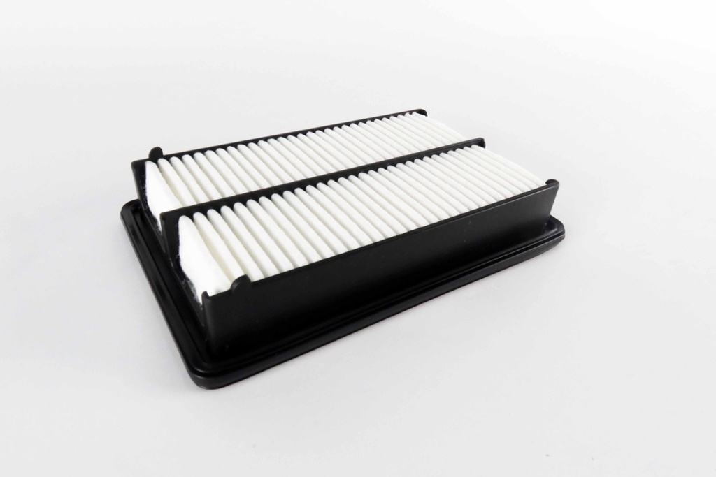 เอซีเดลโก้(ACDelco) ไส้กรองอากาศ 19373002