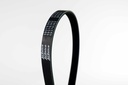 เอซีเดลโก้(ACDelco) สายพาน 5PK895 V-Belt 19376362