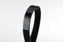 เอซีเดลโก้(ACDelco) สายพาน 6PK1890 V-Belt 19376389