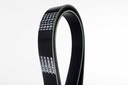 เอซีเดลโก้(ACDelco) สายพาน 7PK1070 V-Belt 19376405