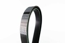 เอซีเดลโก้(ACDelco) สายพาน 7PK3110 V-Belt 19376438