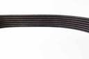 เอซีเดลโก้(ACDelco) สายพาน 7PK3110 V-Belt 19376438