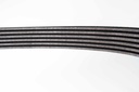 เอซีเดลโก้(ACDelco) สายพาน 6PK1797 ACD Belt Gen 19378944